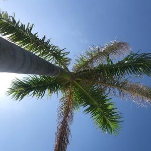 Meet your Posher, Whitney